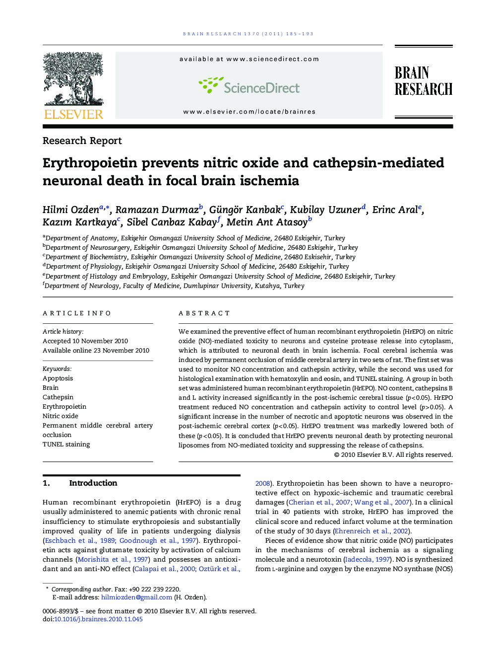 Research ReportErythropoietin prevents nitric oxide and cathepsin-mediated neuronal death in focal brain ischemia