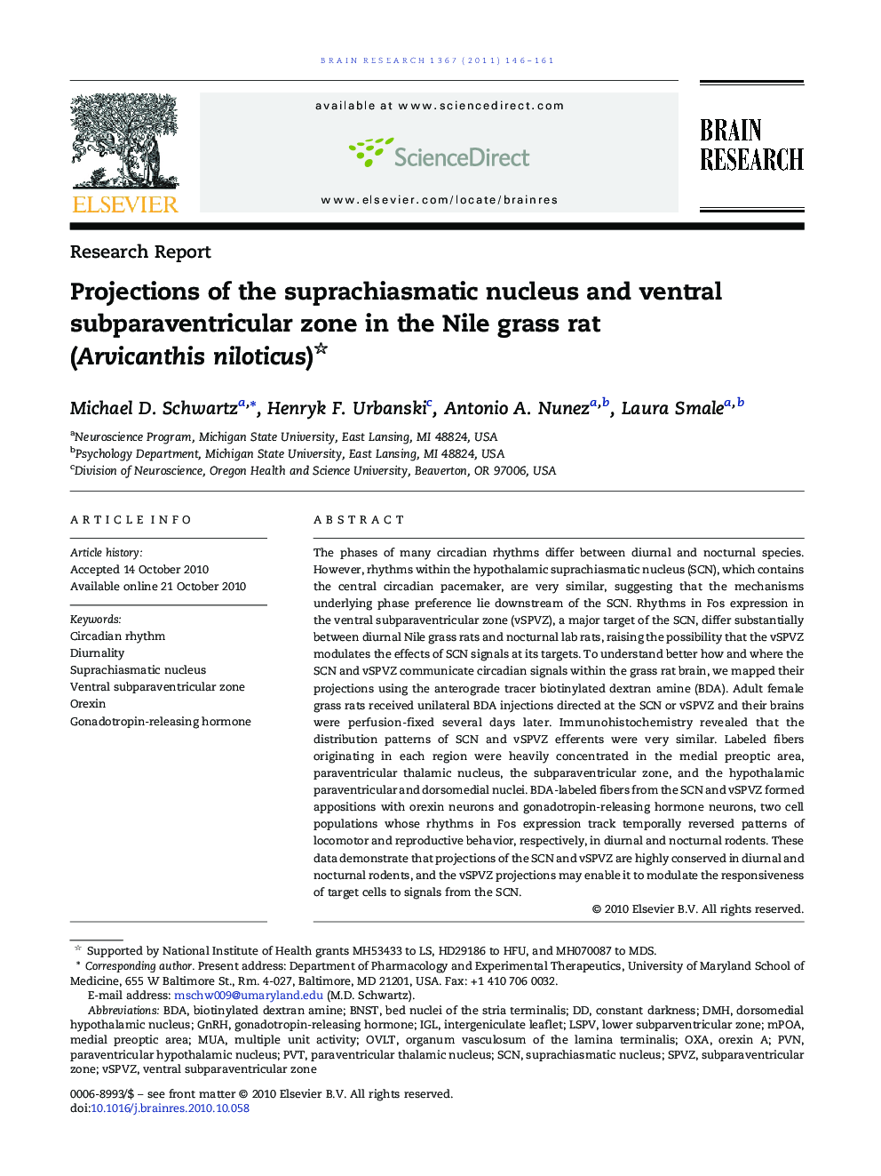 Research ReportProjections of the suprachiasmatic nucleus and ventral subparaventricular zone in the Nile grass rat (Arvicanthis niloticus)