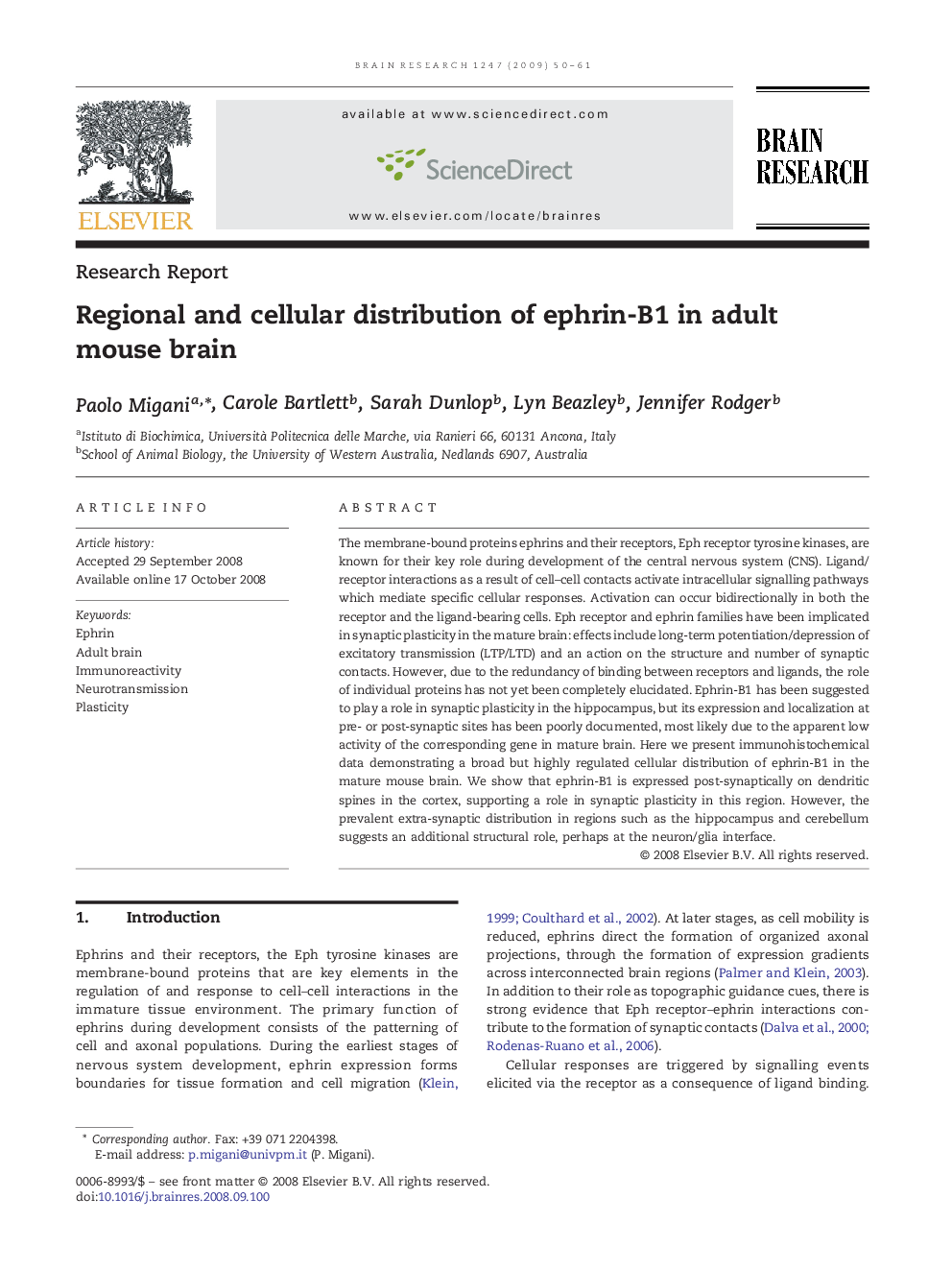 Research ReportRegional and cellular distribution of ephrin-B1 in adult mouse brain