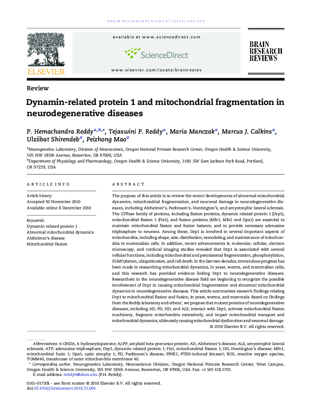 ReviewDynamin-related protein 1 and mitochondrial fragmentation in neurodegenerative diseases