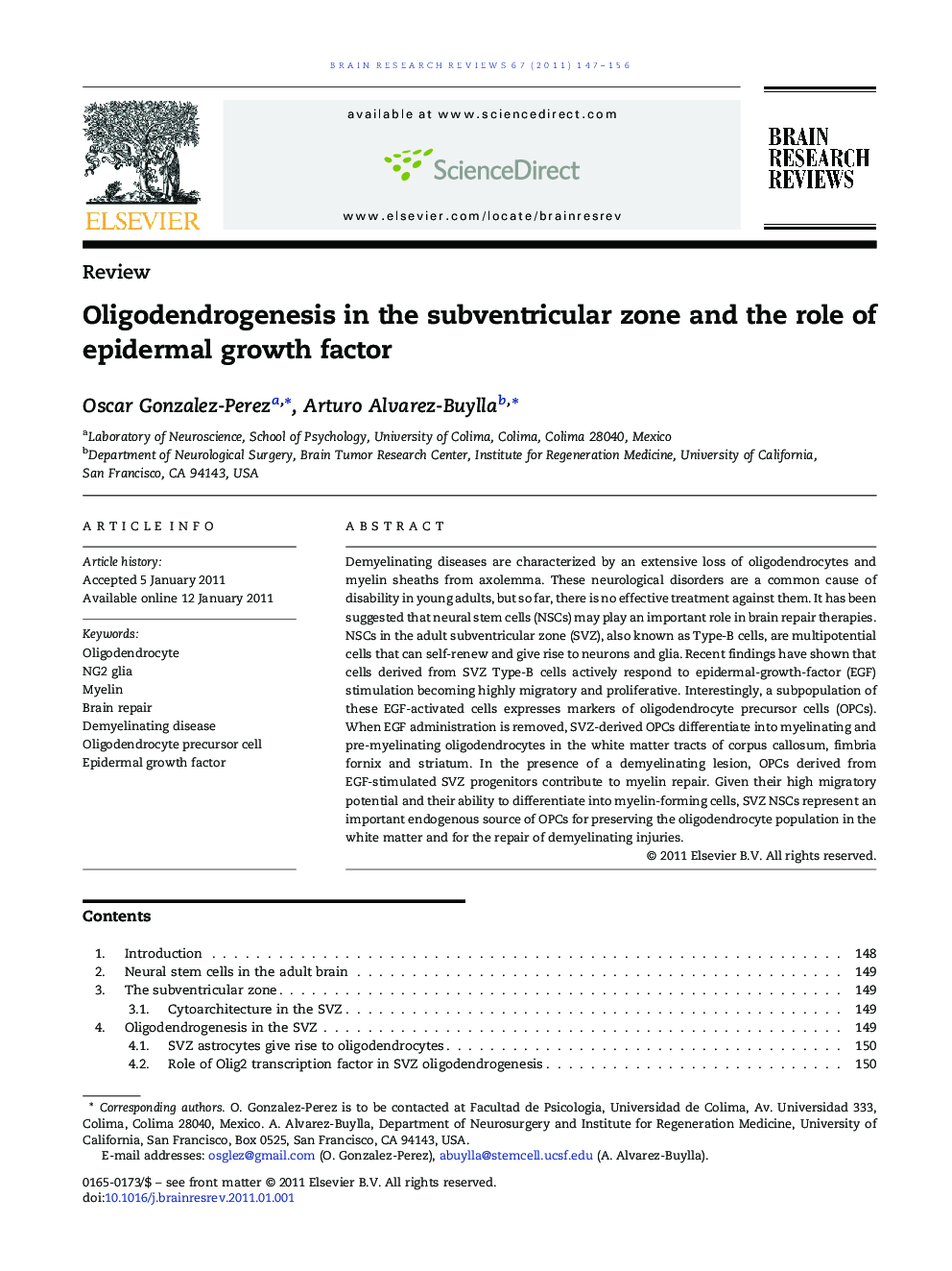 ReviewOligodendrogenesis in the subventricular zone and the role of epidermal growth factor