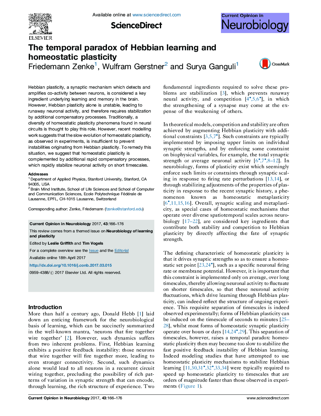 The temporal paradox of Hebbian learning and homeostatic plasticity