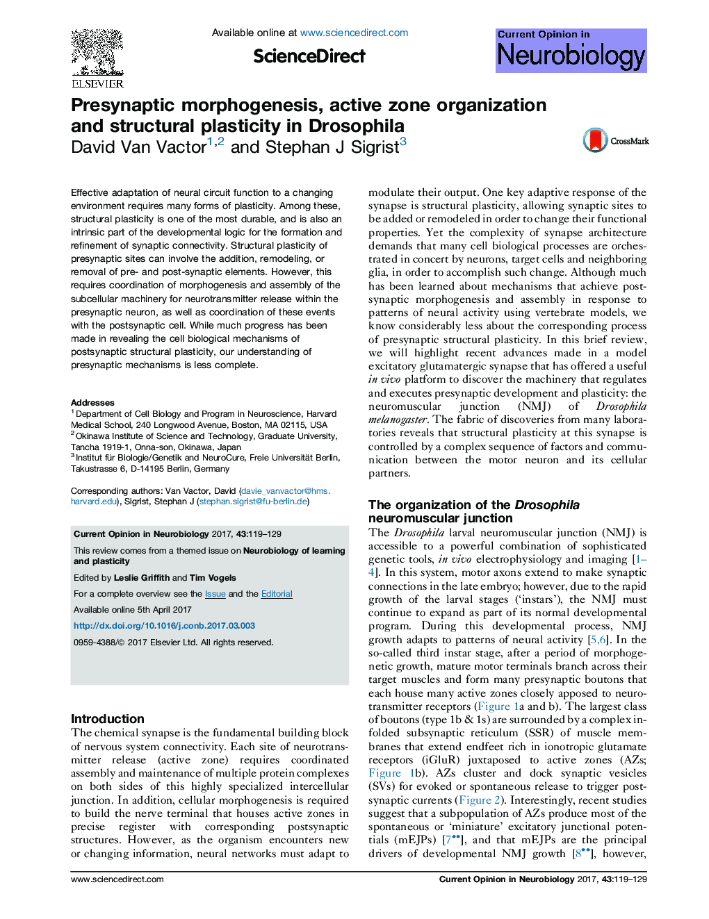 Presynaptic morphogenesis, active zone organization and structural plasticity in Drosophila