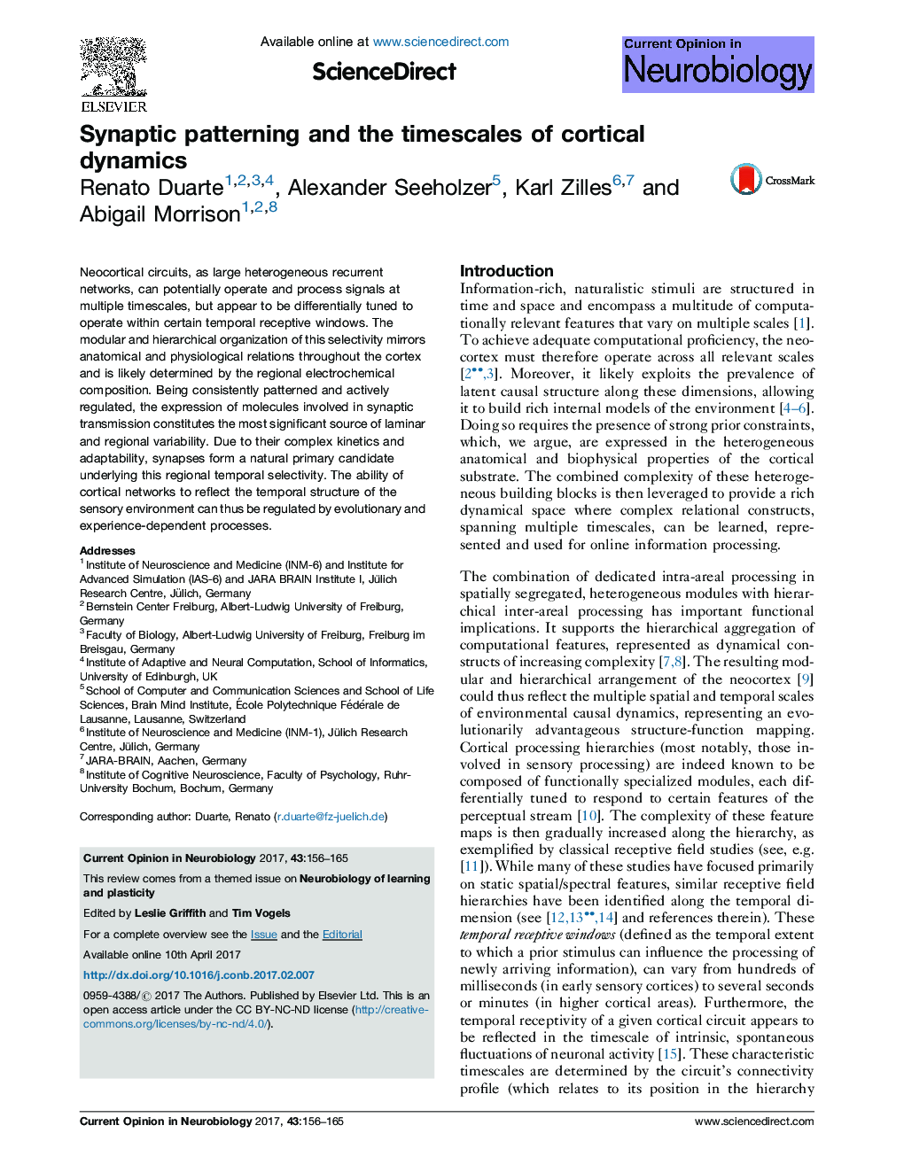 Synaptic patterning and the timescales of cortical dynamics