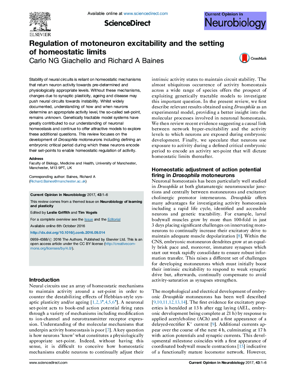 Regulation of motoneuron excitability and the setting of homeostatic limits