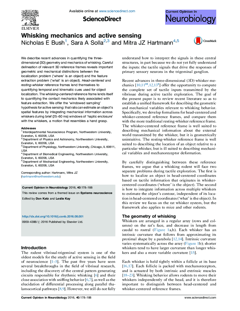 Whisking mechanics and active sensing