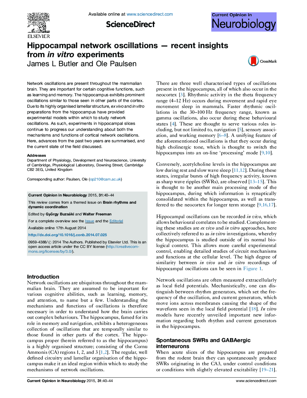 Hippocampal network oscillations - recent insights from in vitro experiments