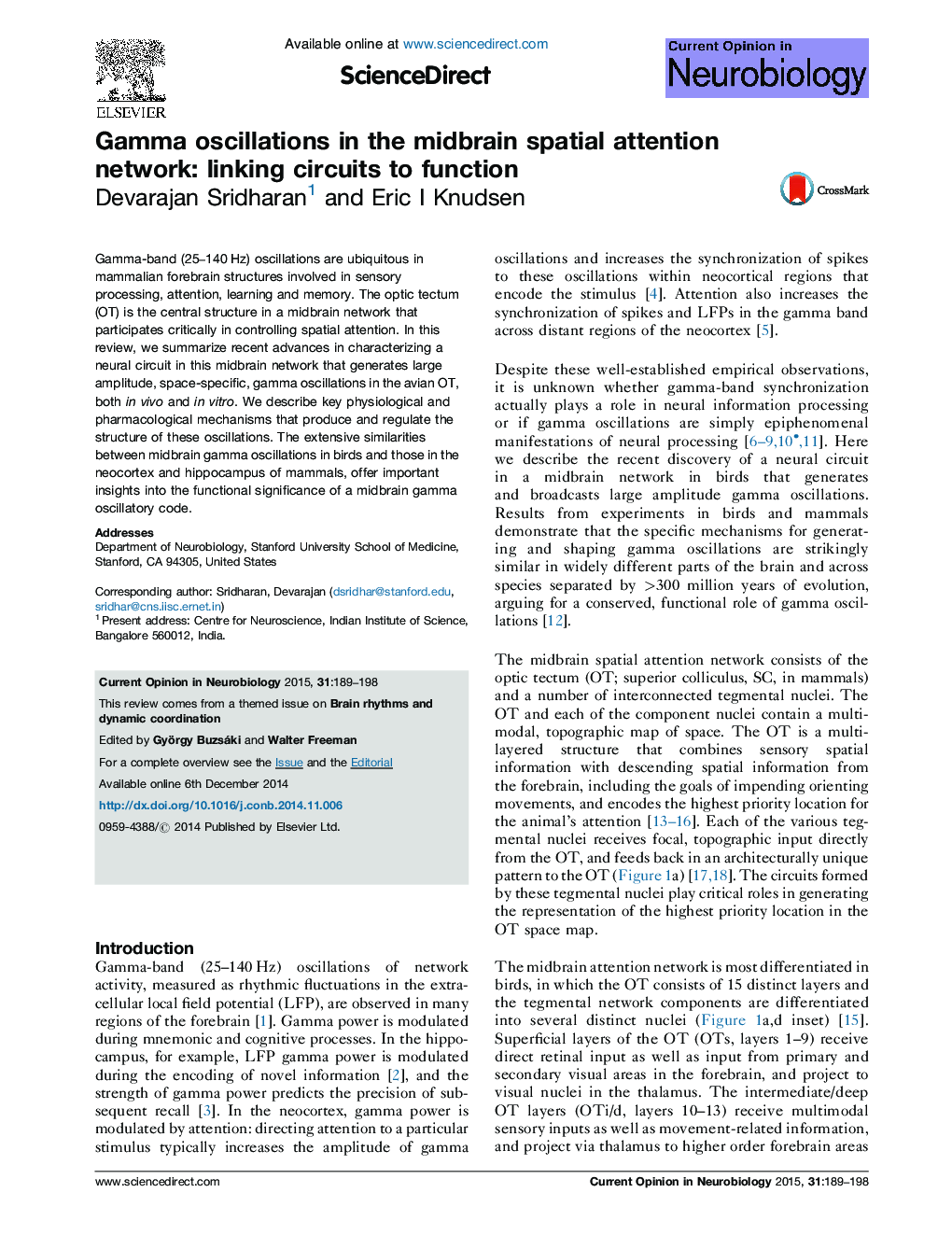 Gamma oscillations in the midbrain spatial attention network: linking circuits to function