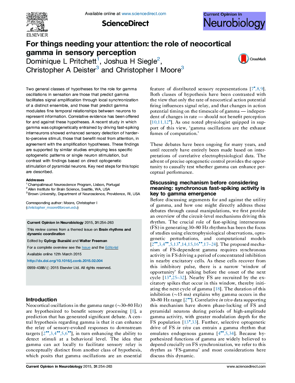 For things needing your attention: the role of neocortical gamma in sensory perception