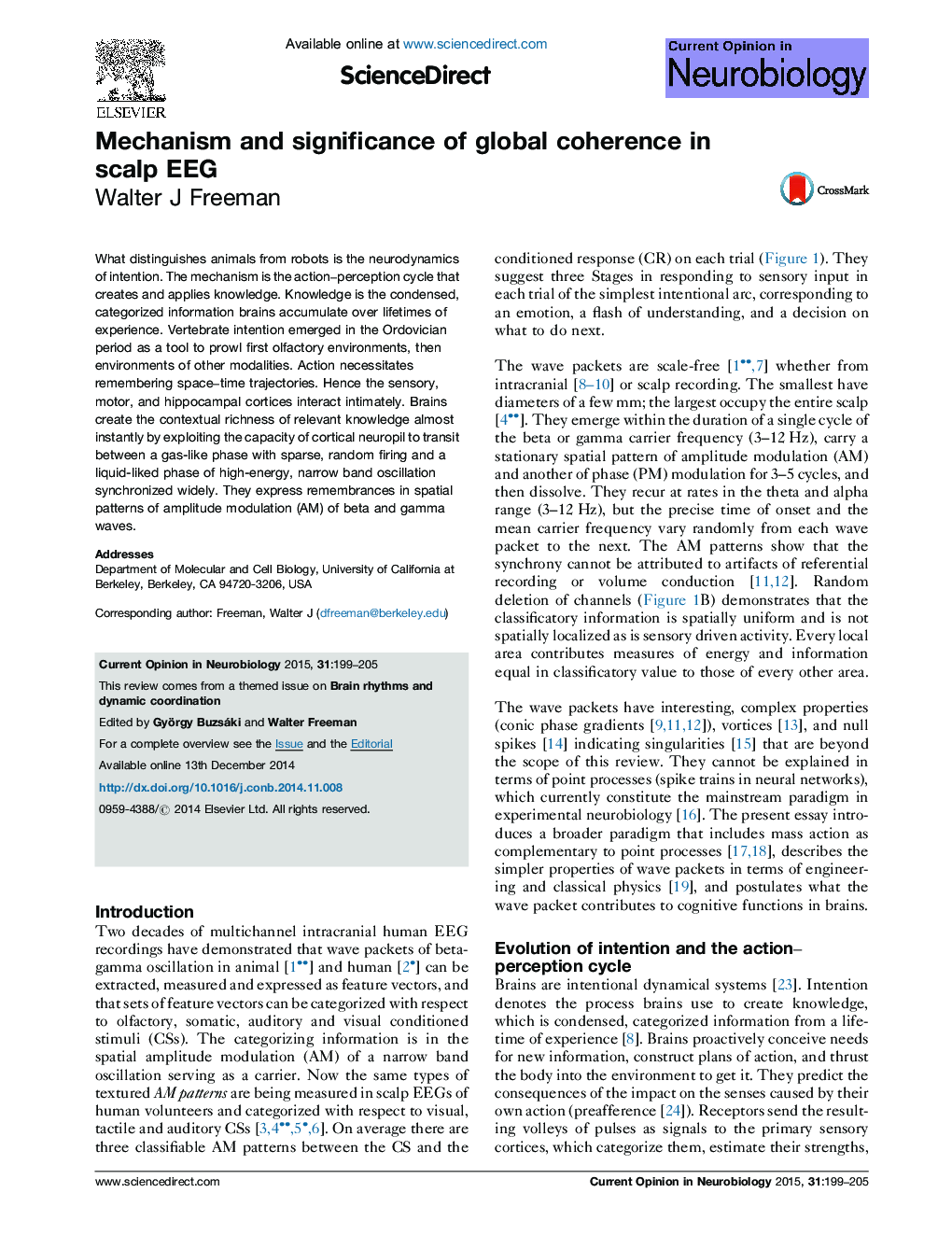 Mechanism and significance of global coherence in scalp EEG