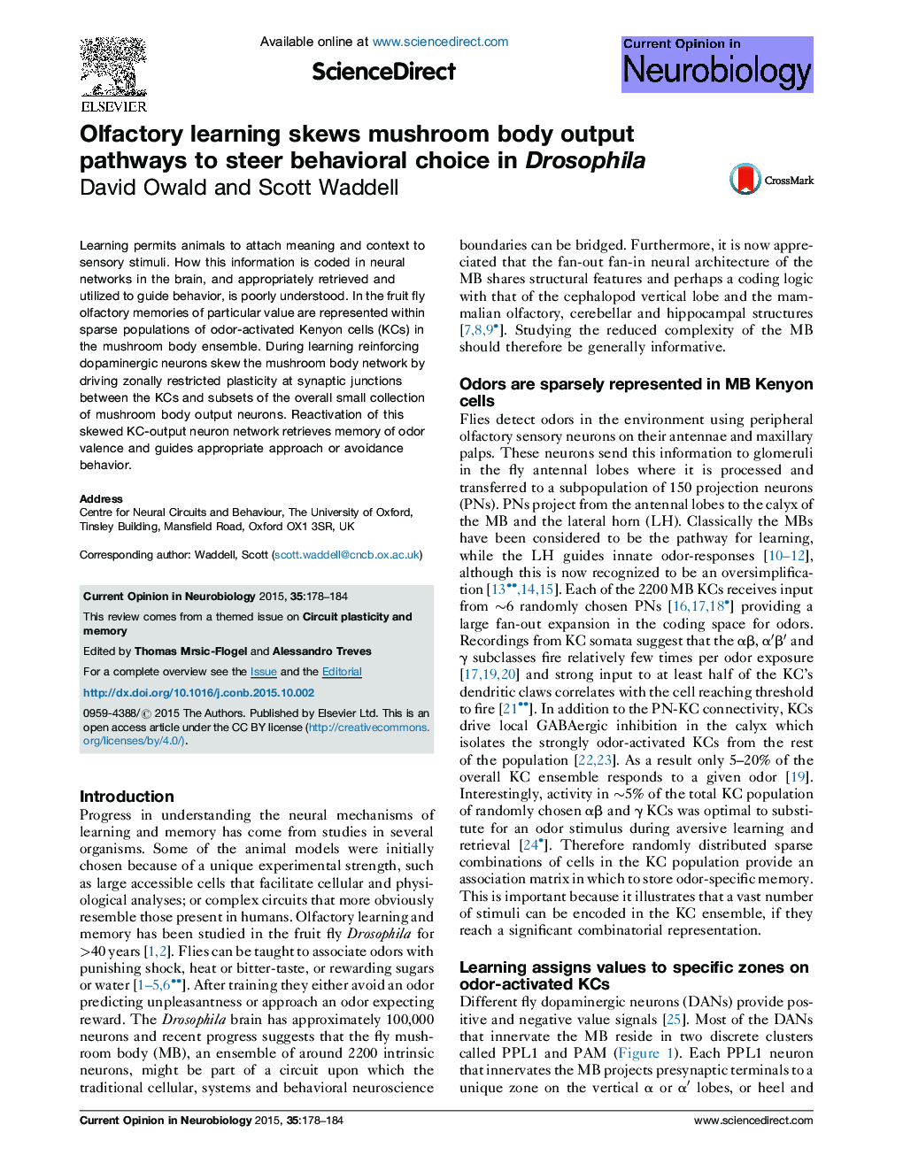 Olfactory learning skews mushroom body output pathways to steer behavioral choice in Drosophila