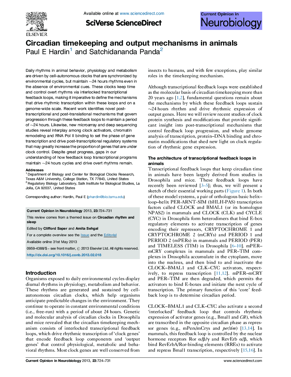 Circadian timekeeping and output mechanisms in animals