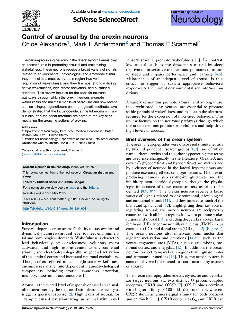 Control of arousal by the orexin neurons