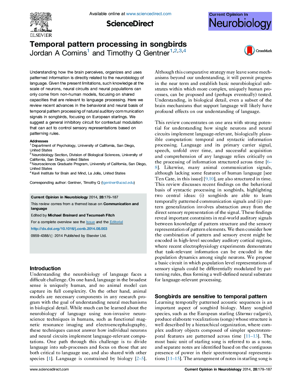 Temporal pattern processing in songbirds