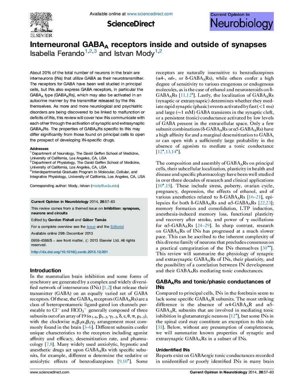 Interneuronal GABAA receptors inside and outside of synapses