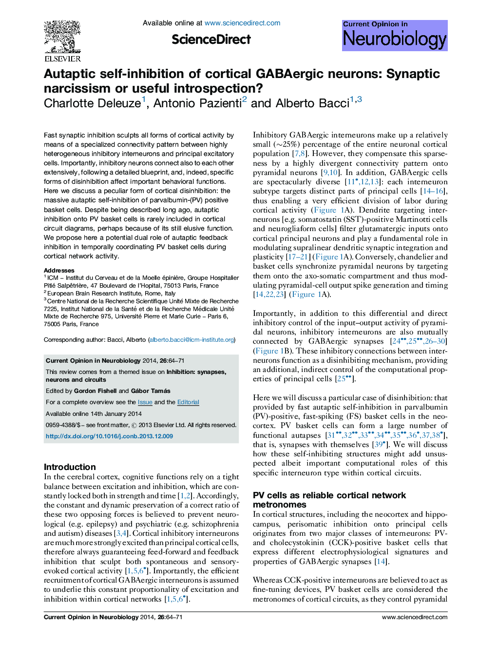 Autaptic self-inhibition of cortical GABAergic neurons: Synaptic narcissism or useful introspection?