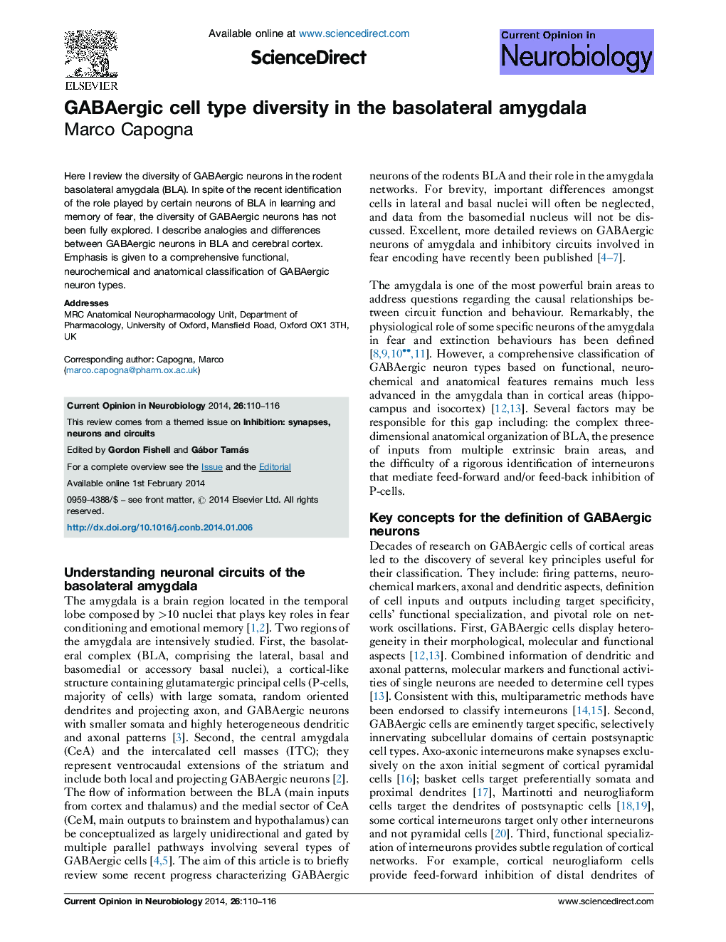 GABAergic cell type diversity in the basolateral amygdala