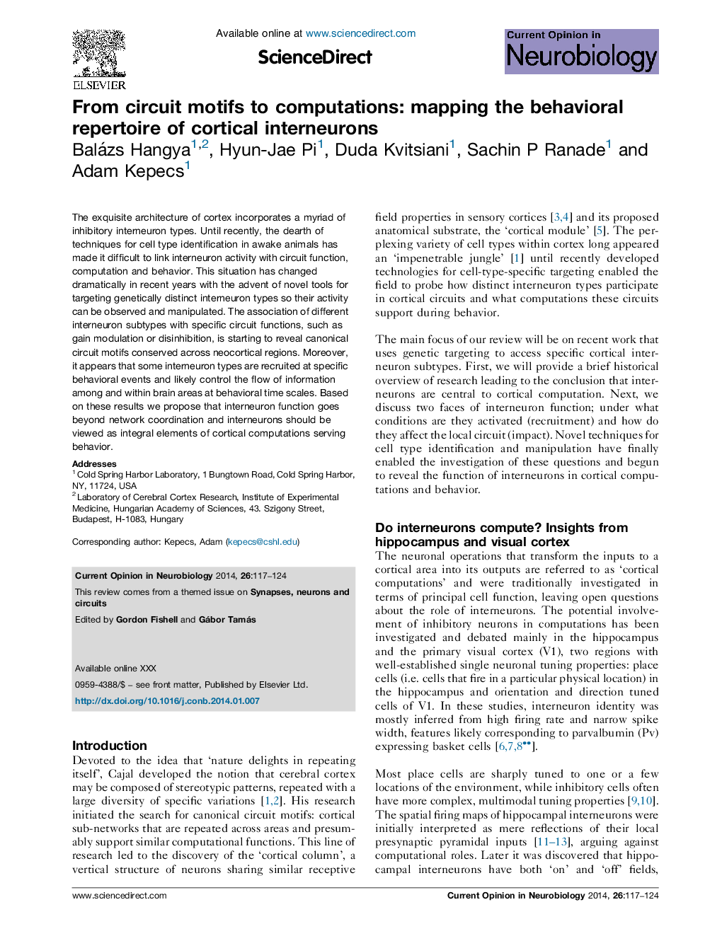 From circuit motifs to computations: mapping the behavioral repertoire of cortical interneurons