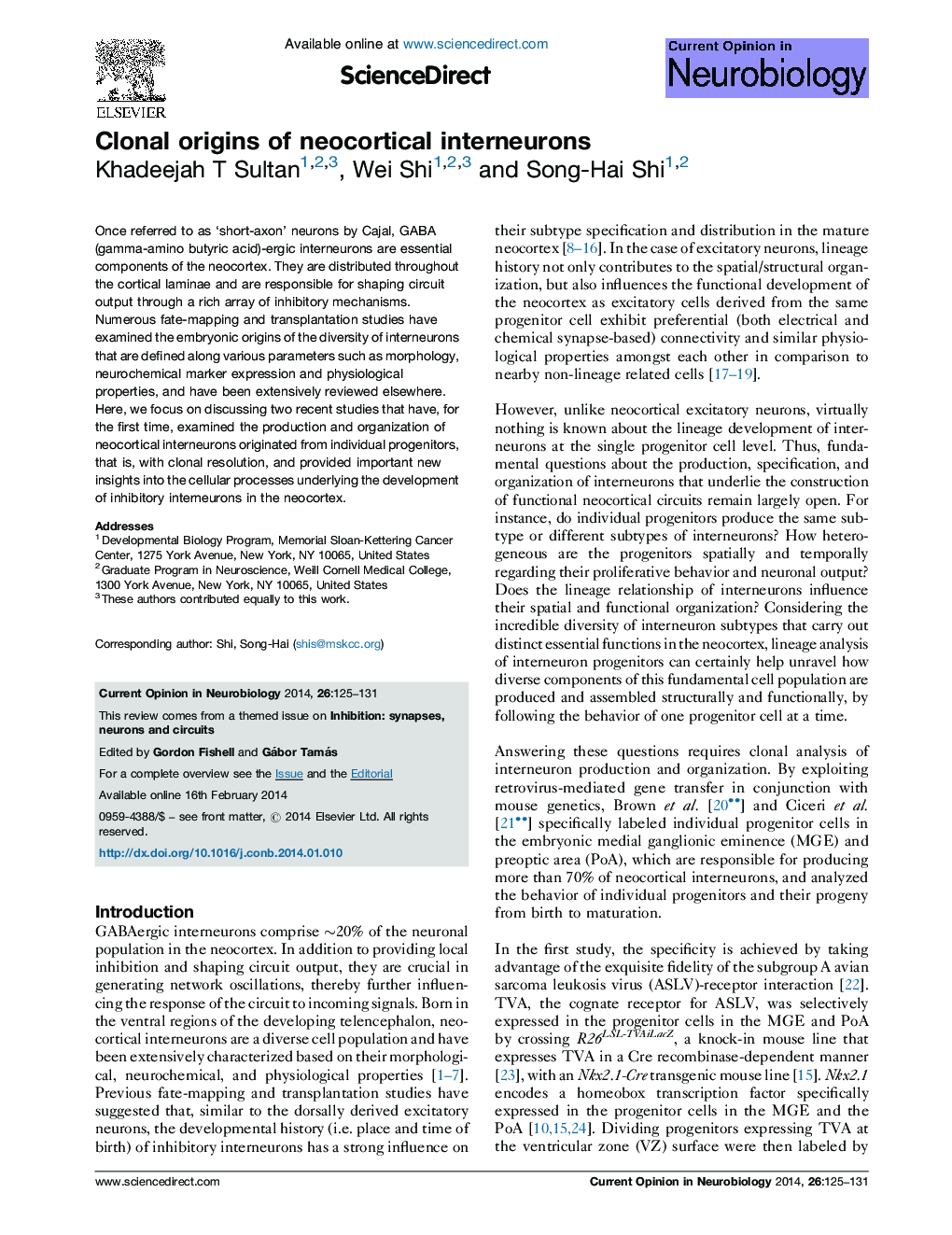 Clonal origins of neocortical interneurons