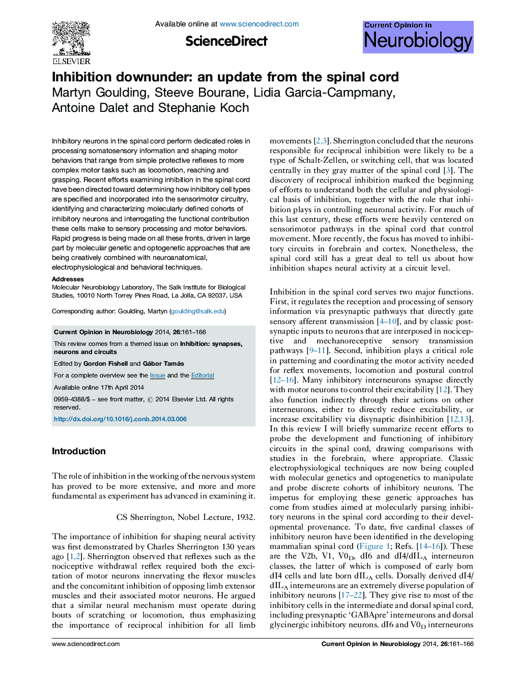 Inhibition downunder: an update from the spinal cord