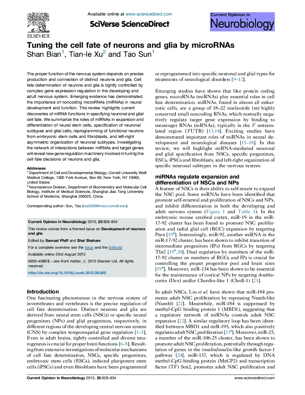 Tuning the cell fate of neurons and glia by microRNAs