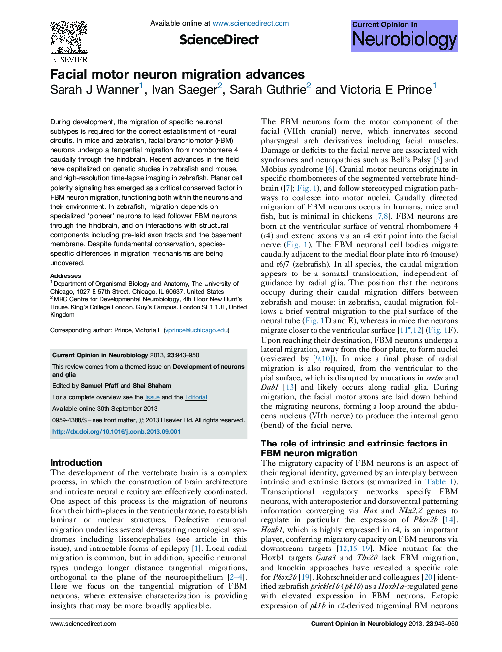 Facial motor neuron migration advances