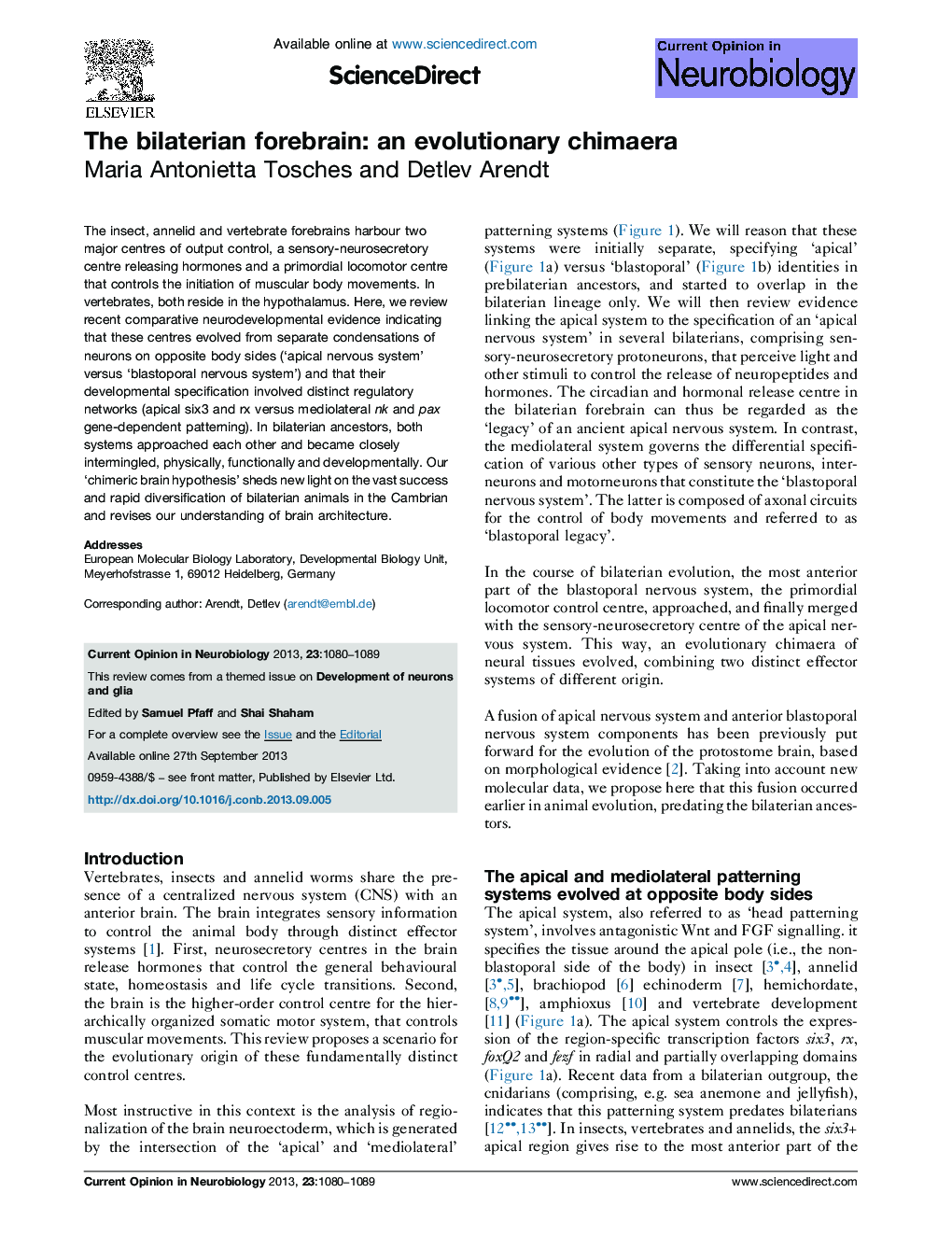 The bilaterian forebrain: an evolutionary chimaera