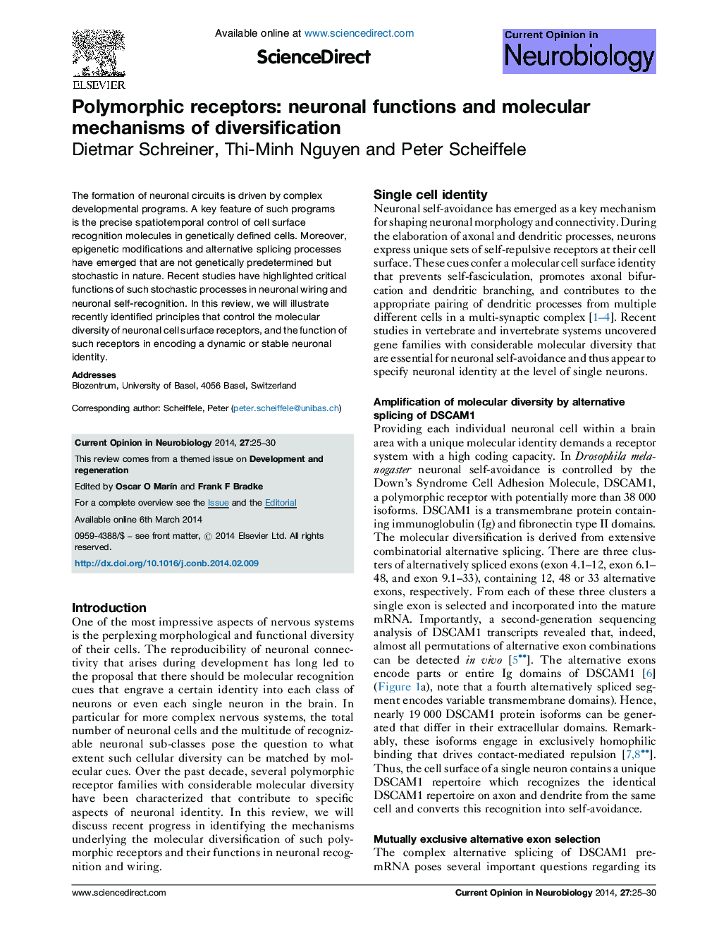 Polymorphic receptors: neuronal functions and molecular mechanisms of diversification