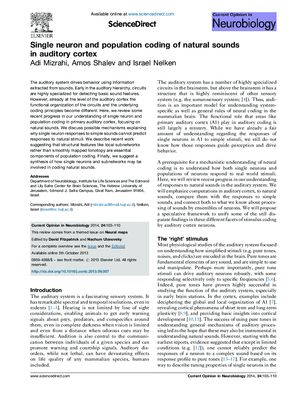 Single neuron and population coding of natural sounds in auditory cortex