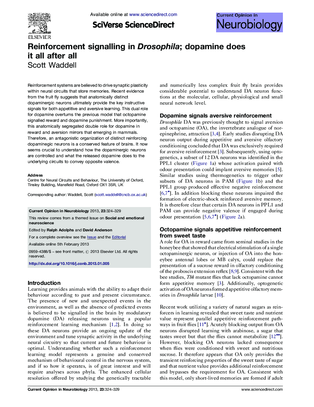 Reinforcement signalling in Drosophila; dopamine does it all after all