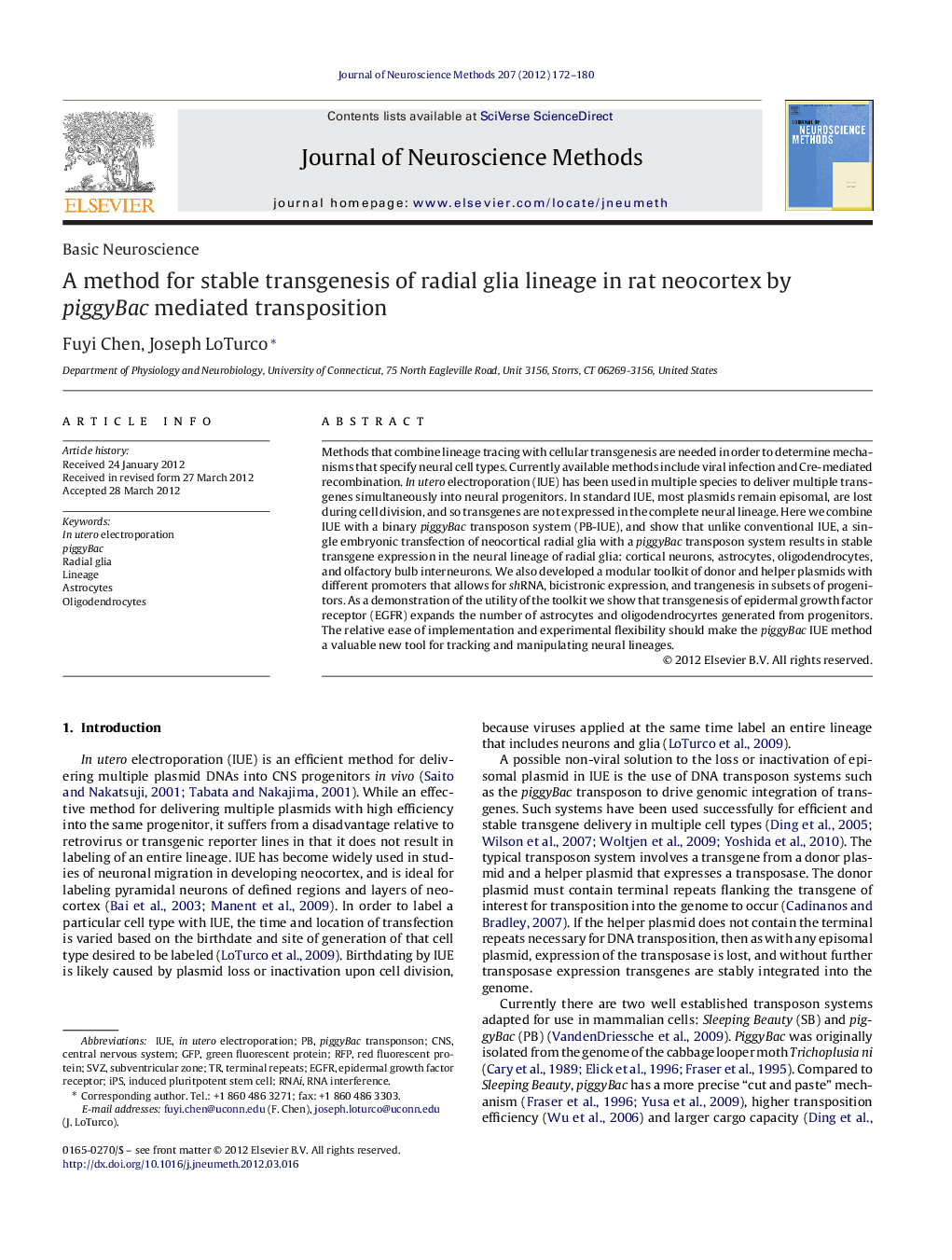 A method for stable transgenesis of radial glia lineage in rat neocortex by piggyBac mediated transposition