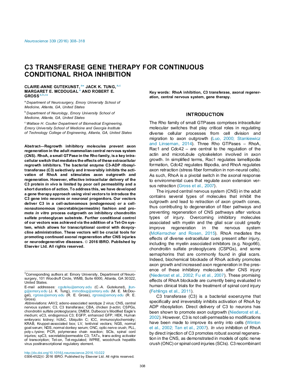 C3 transferase gene therapy for continuous conditional RhoA inhibition