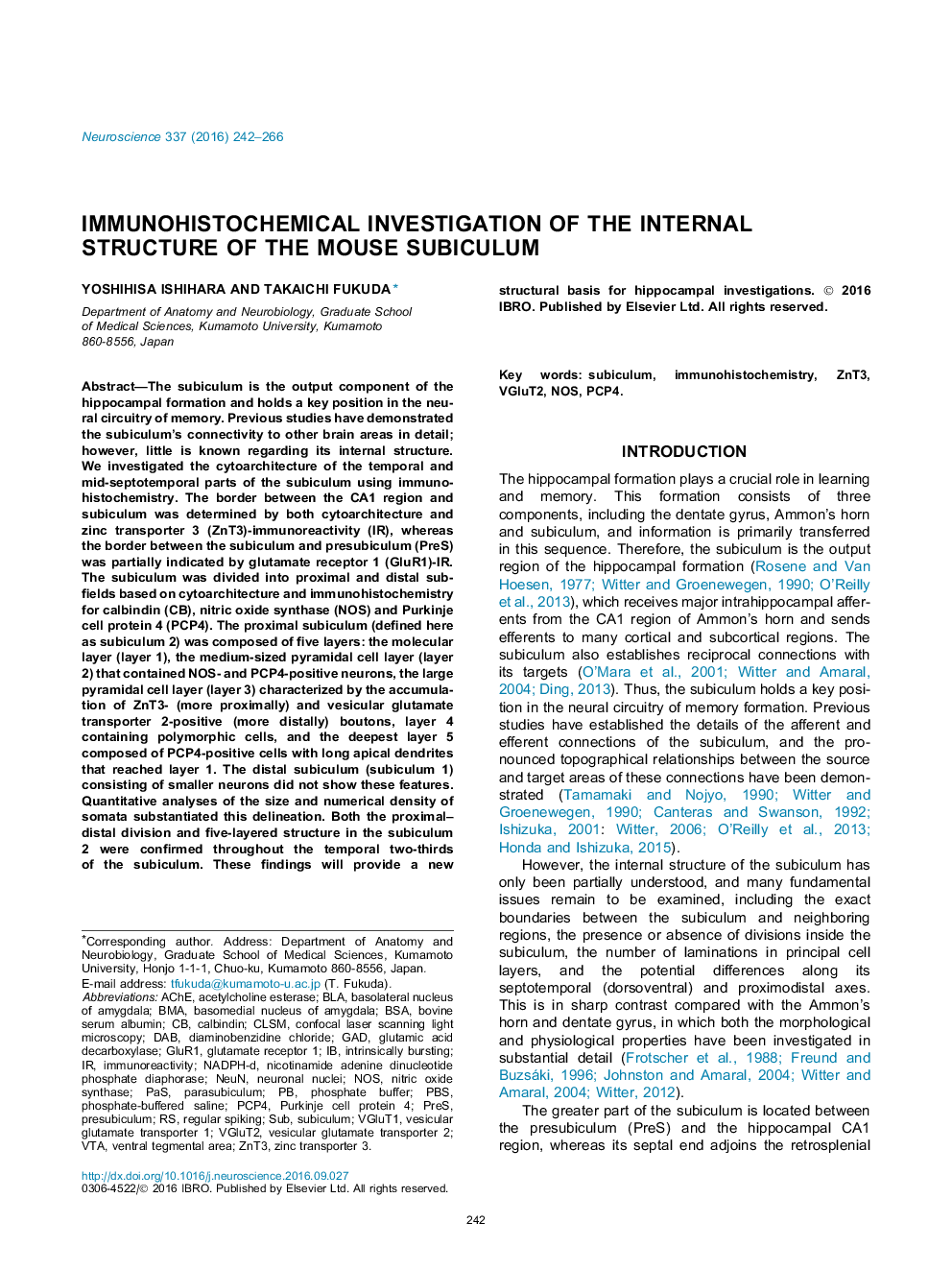 Immunohistochemical investigation of the internal structure of the mouse subiculum