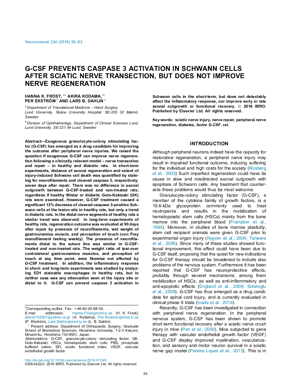 G-CSF prevents caspase 3 activation in Schwann cells after sciatic nerve transection, but does not improve nerve regeneration