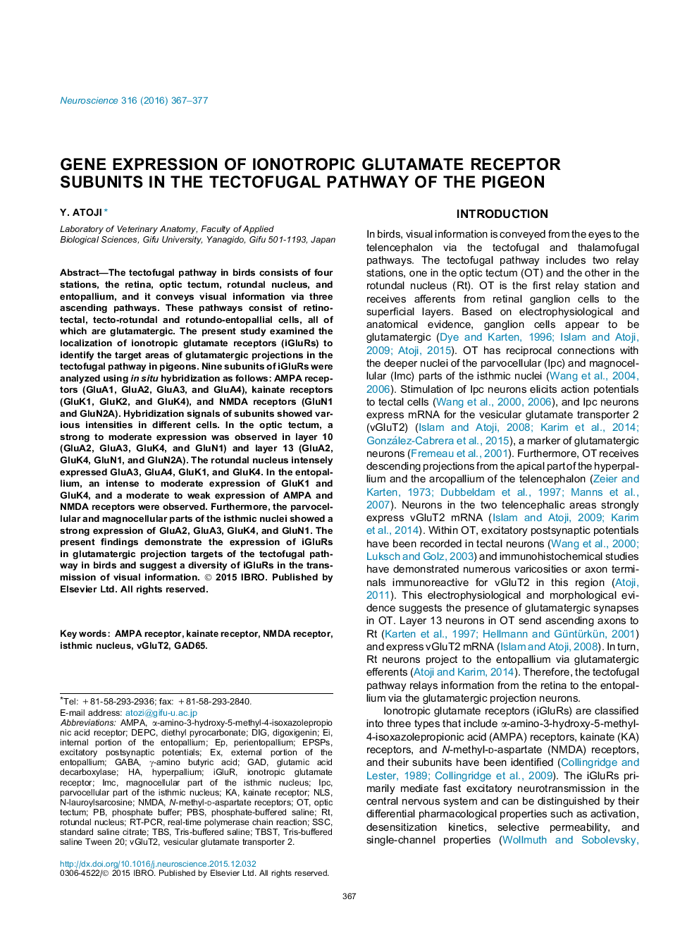 Gene expression of ionotropic glutamate receptor subunits in the tectofugal pathway of the pigeon