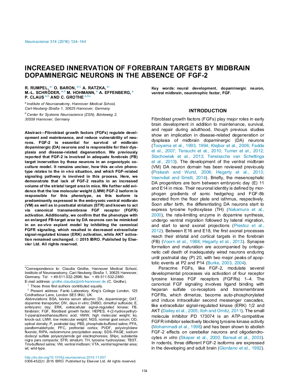 Increased innervation of forebrain targets by midbrain dopaminergic neurons in the absence of FGF-2