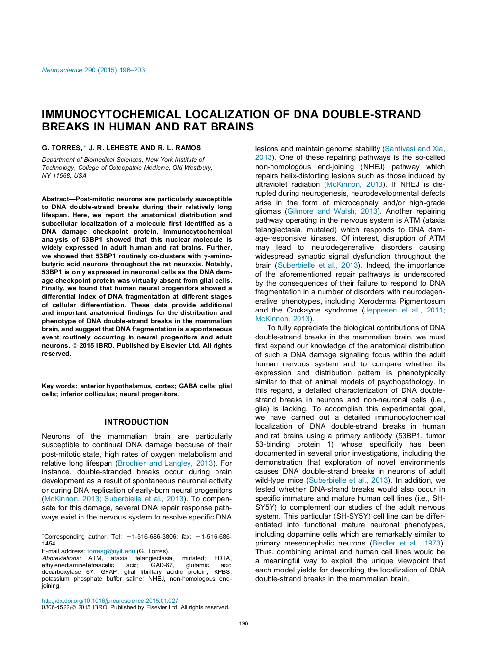 Immunocytochemical localization of DNA double-strand breaks in human and rat brains