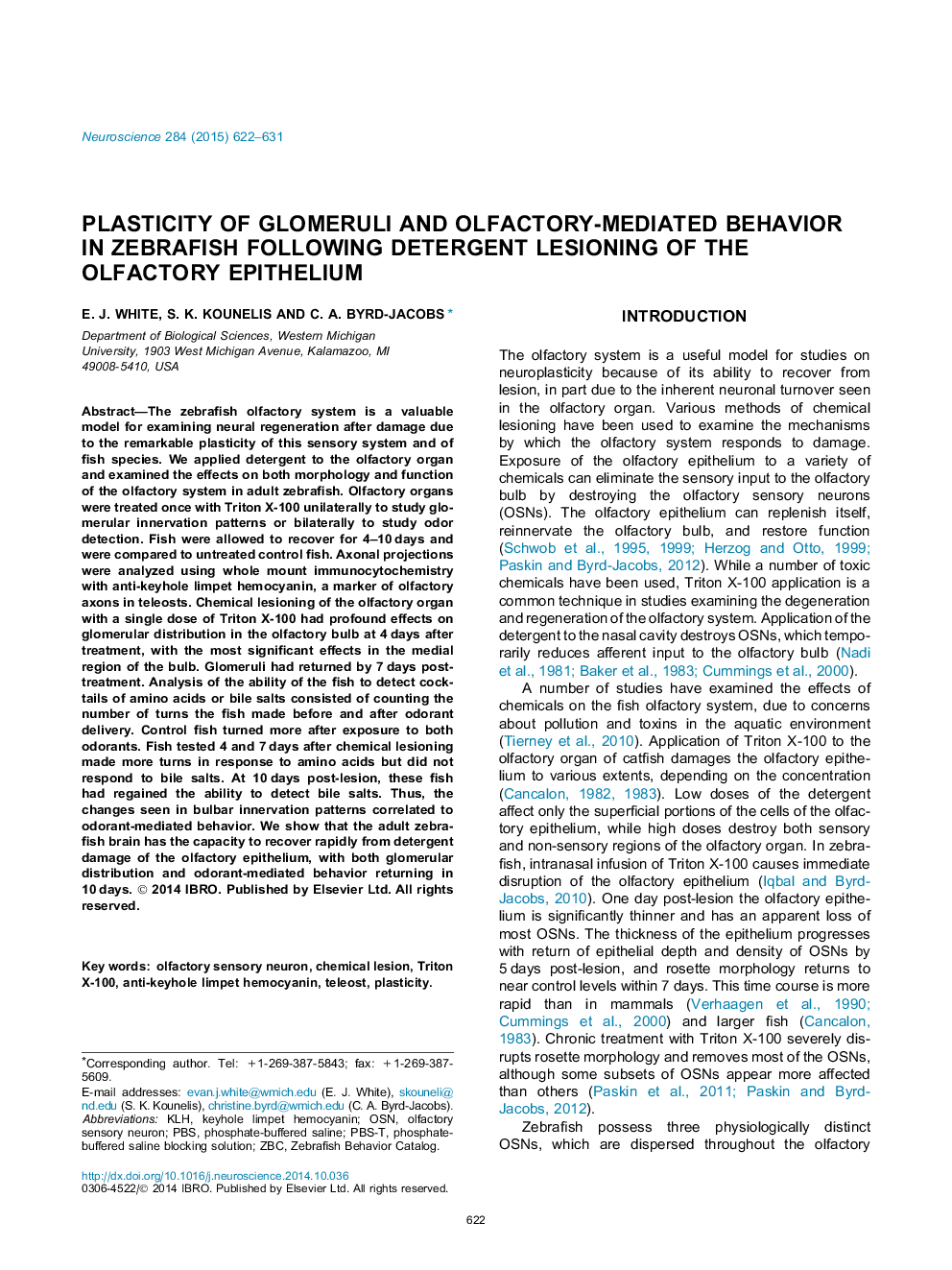 Plasticity of glomeruli and olfactory-mediated behavior in zebrafish following detergent lesioning of the olfactory epithelium