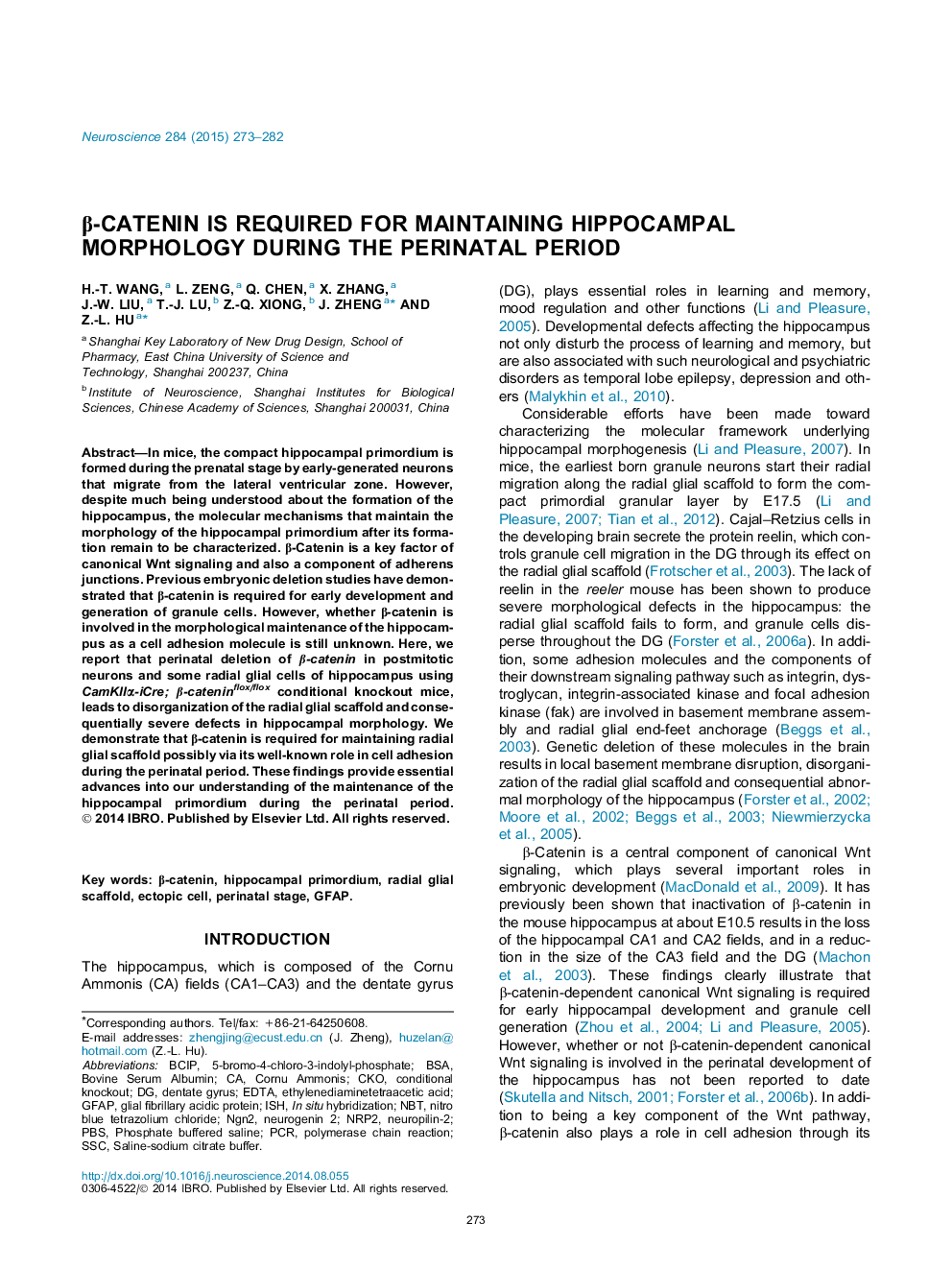 Î²-Catenin is required for maintaining hippocampal morphology during the perinatal period