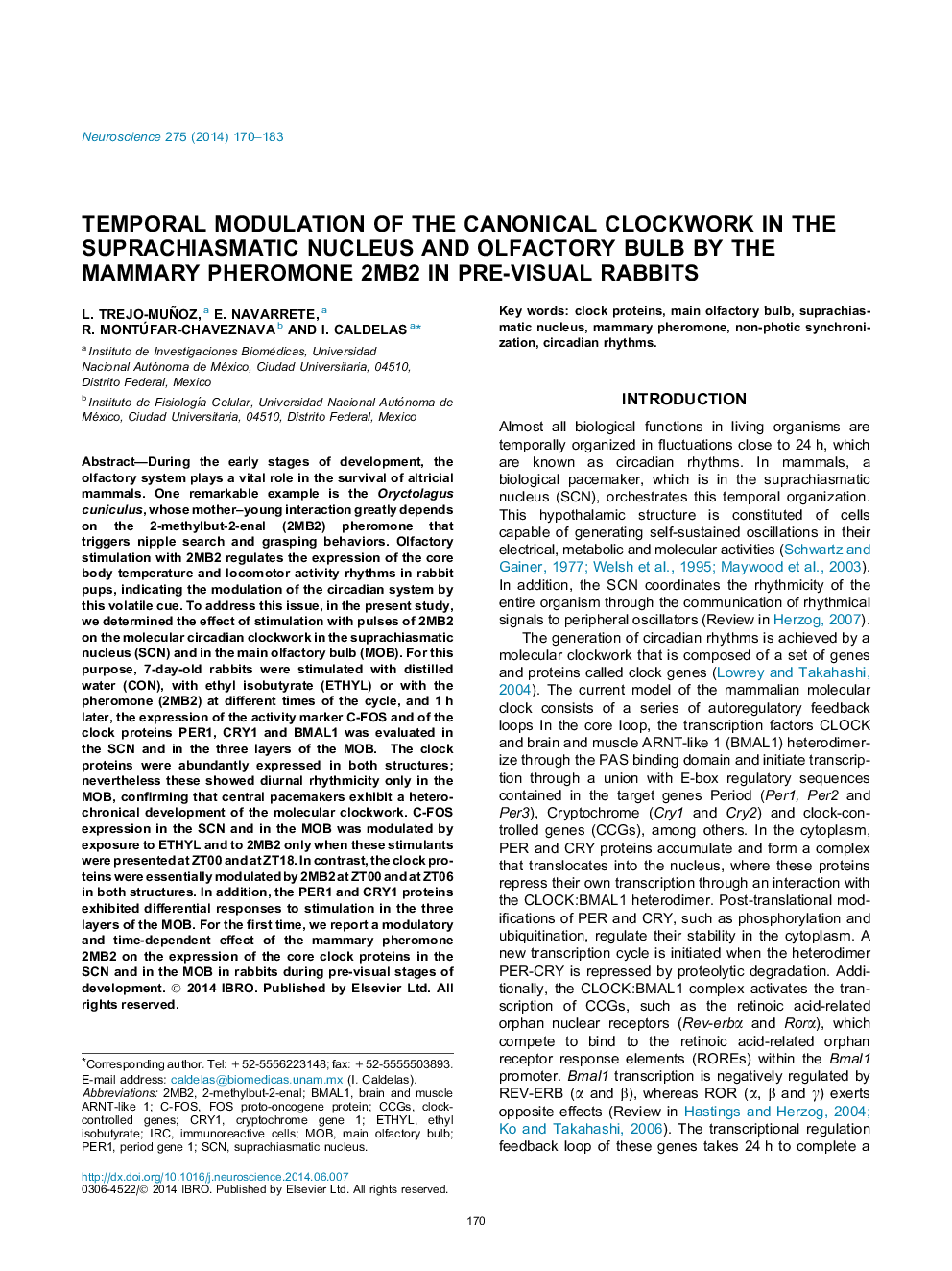 Temporal modulation of the canonical clockwork in the suprachiasmatic nucleus and olfactory bulb by the mammary pheromone 2MB2 in pre-visual rabbits