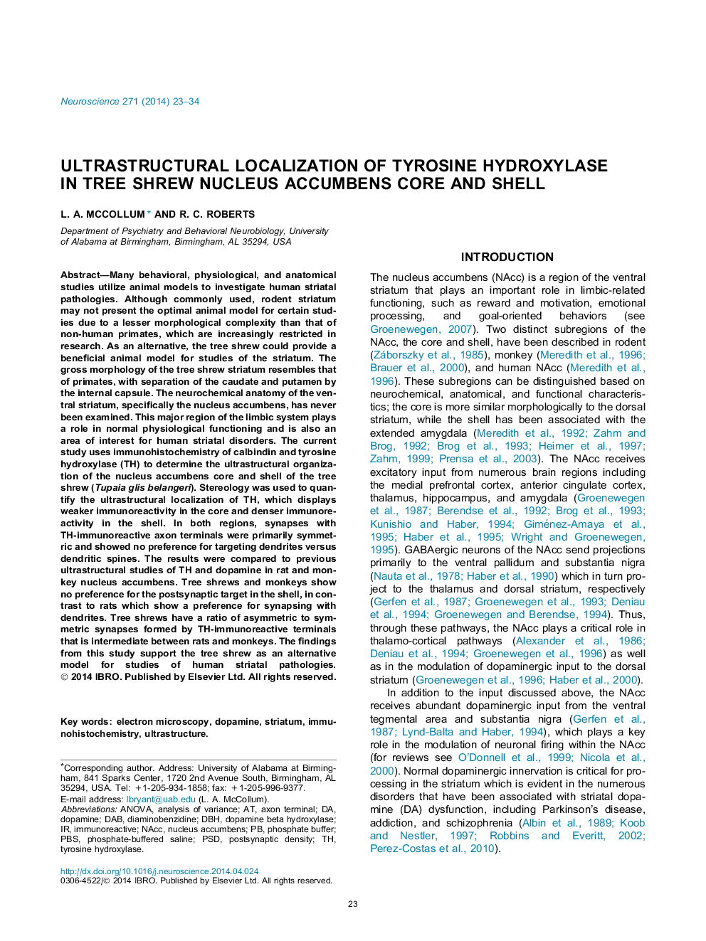 Ultrastructural localization of tyrosine hydroxylase in tree shrew nucleus accumbens core and shell