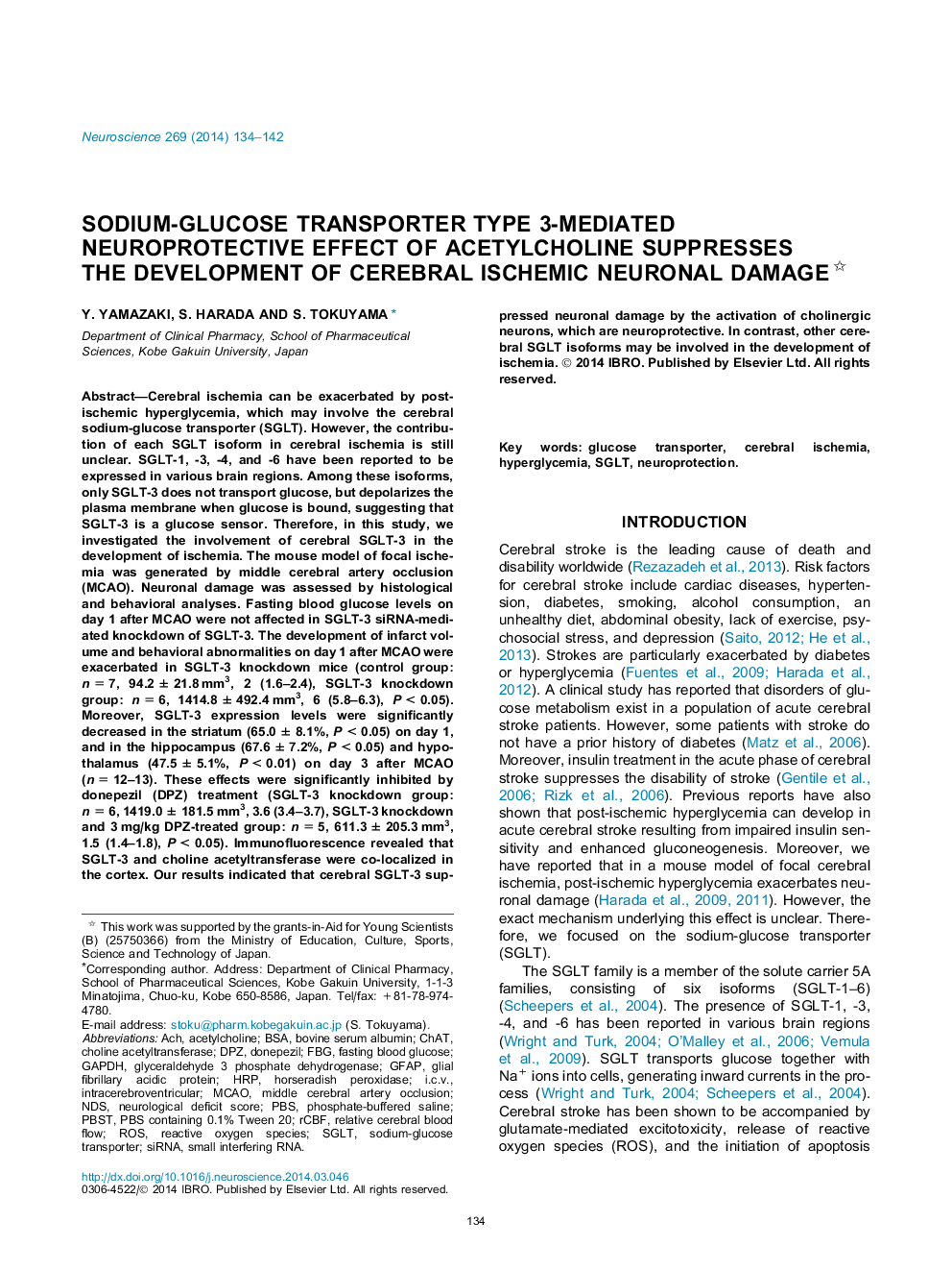 سدیم گلوکز حمل کننده نوع 3، اثر محافظتی عصبی استیل کولین را منع می کند که موجب آسیب عصبی مغزی ایسکمی می شود 