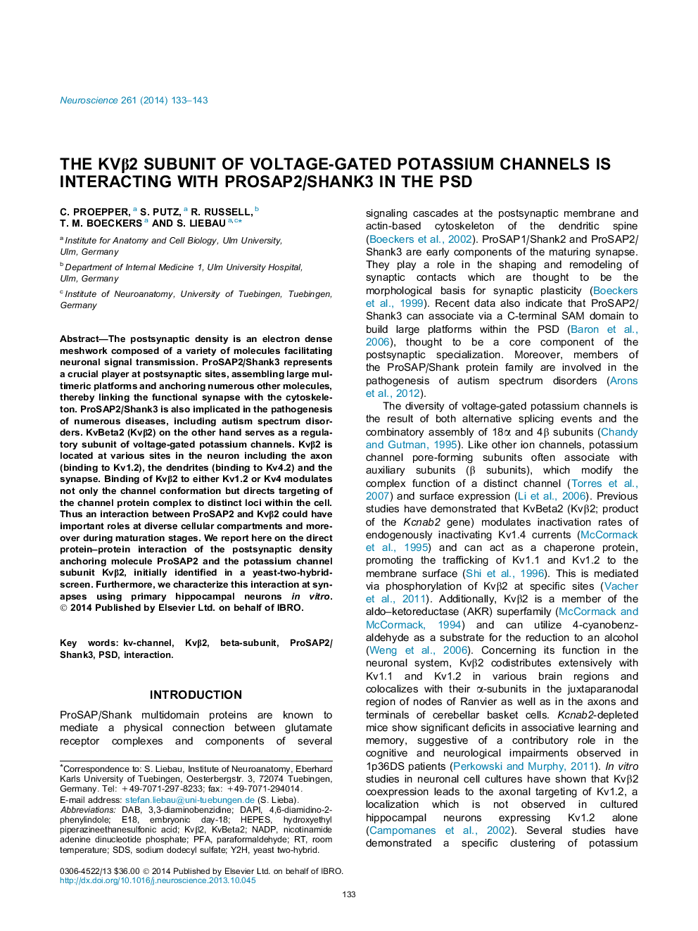 The KvÎ²2 subunit of voltage-gated potassium channels is interacting with ProSAP2/Shank3 in the PSD