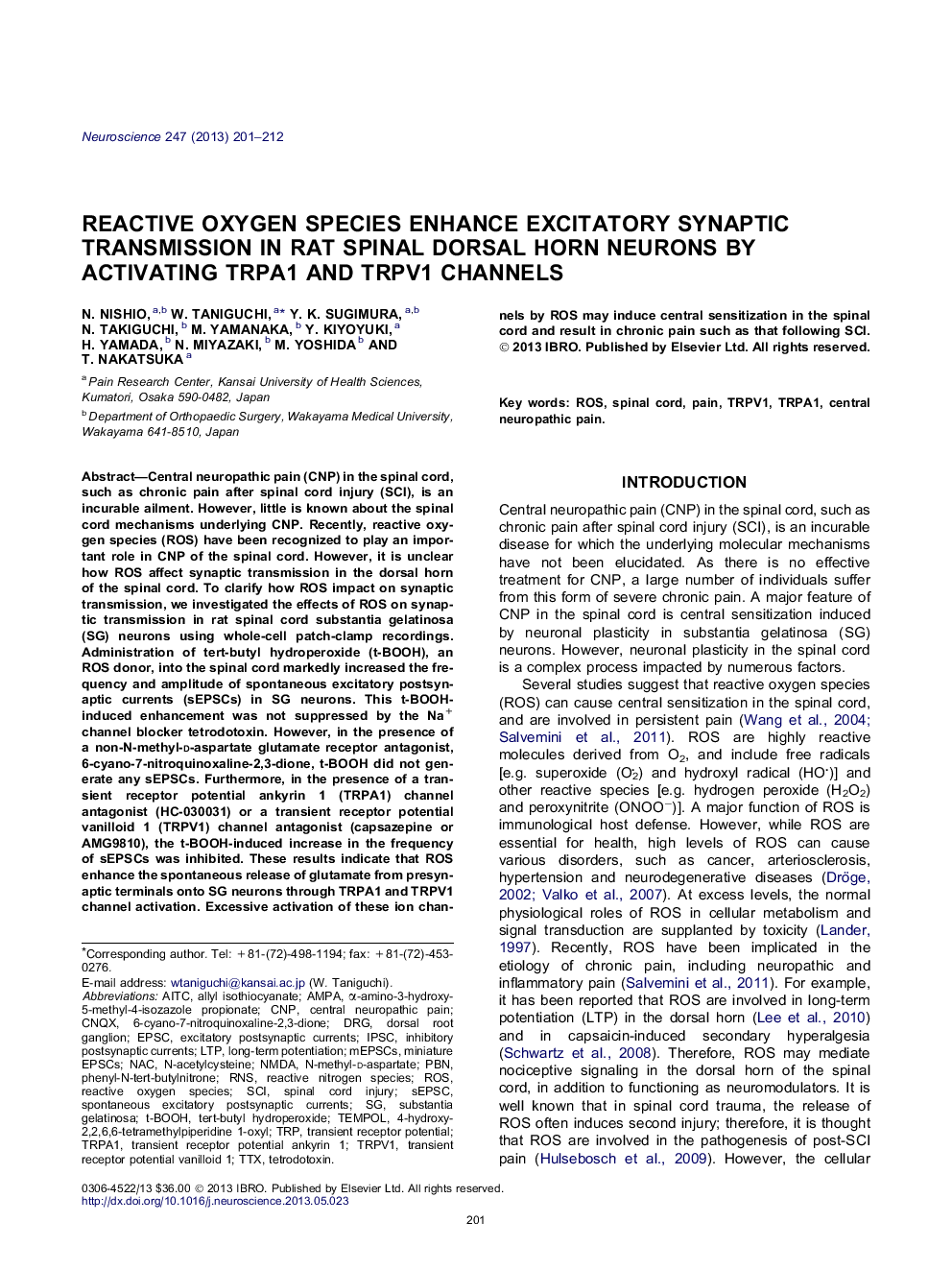 Reactive oxygen species enhance excitatory synaptic transmission in rat spinal dorsal horn neurons by activating TRPA1 and TRPV1 channels