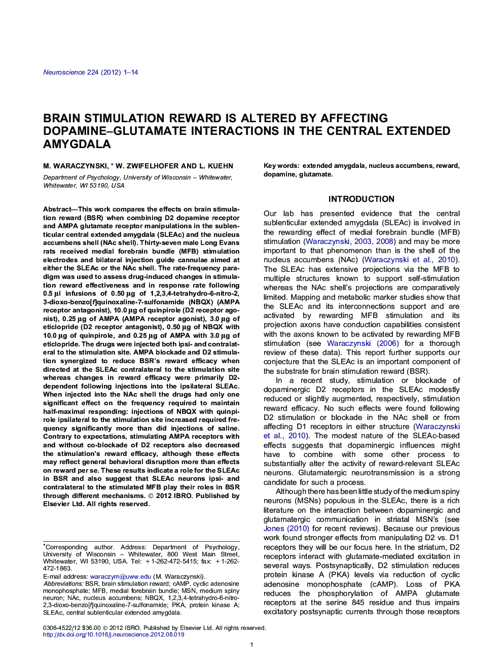 Brain stimulation reward is altered by affecting dopamine-glutamate interactions in the central extended amygdala