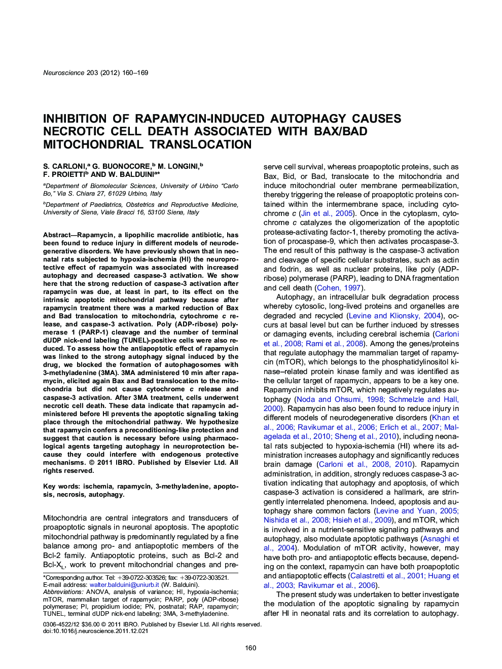 Neurodegeneration, Neuroprotection, and Disease-Oriented NeuroscienceResearch PaperInhibition of rapamycin-induced autophagy causes necrotic cell death associated with Bax/Bad mitochondrial translocation