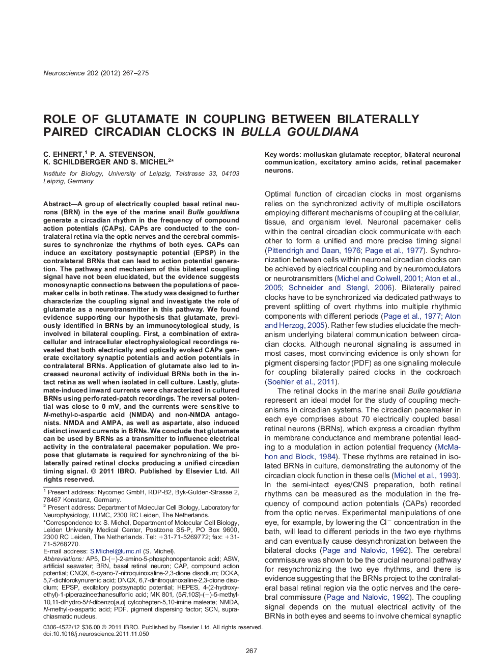 Role of glutamate in coupling between bilaterally paired circadian clocks in Bulla gouldiana