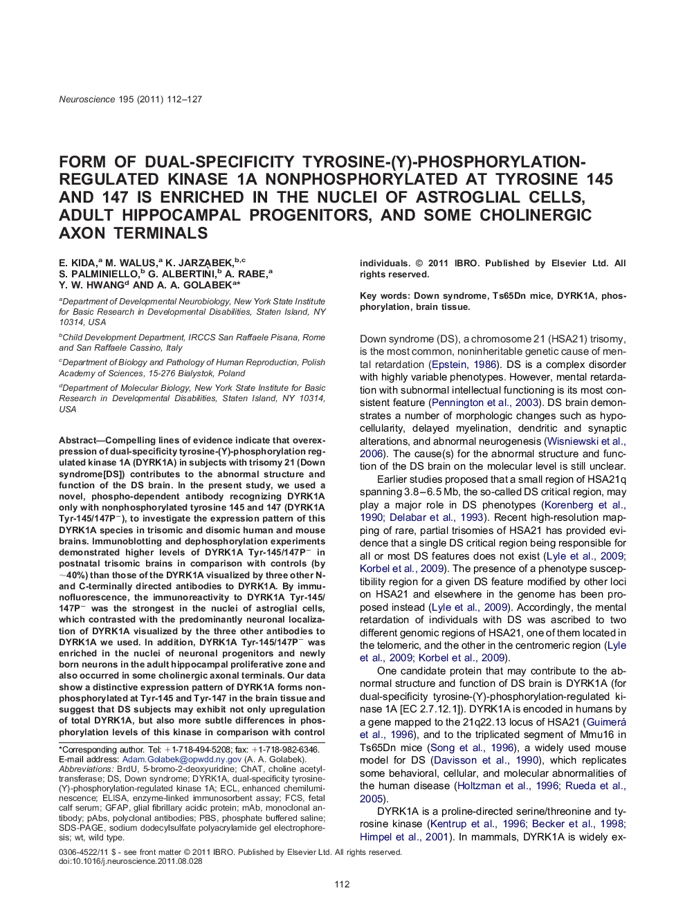 Neurodegeneration, Neuroprotection, and Disease-Oriented NeuroscienceResearch PaperForm of dual-specificity tyrosine-(Y)-phosphorylation-regulated kinase 1A nonphosphorylated at tyrosine 145 and 147 is enriched in the nuclei of astroglial cells, adult hip