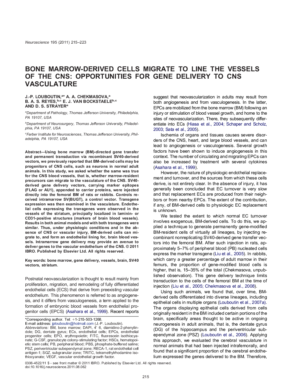 Regeneration, Repair, and Developmental NeuroscienceResearch PaperBone marrow-derived cells migrate to line the vessels of the CNS: opportunities for gene delivery to CNS vasculature