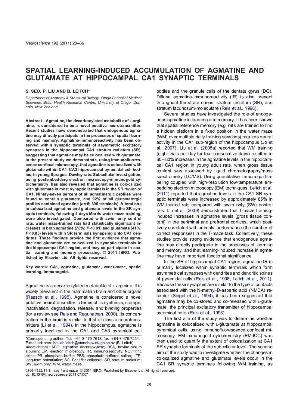 Spatial learning-induced accumulation of agmatine and glutamate at hippocampal CA1 synaptic terminals